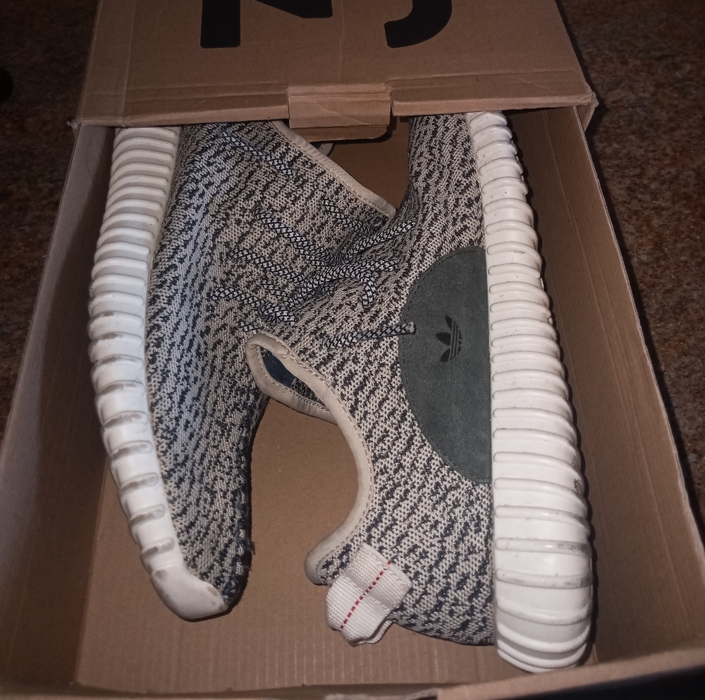 Yeezy 🐢